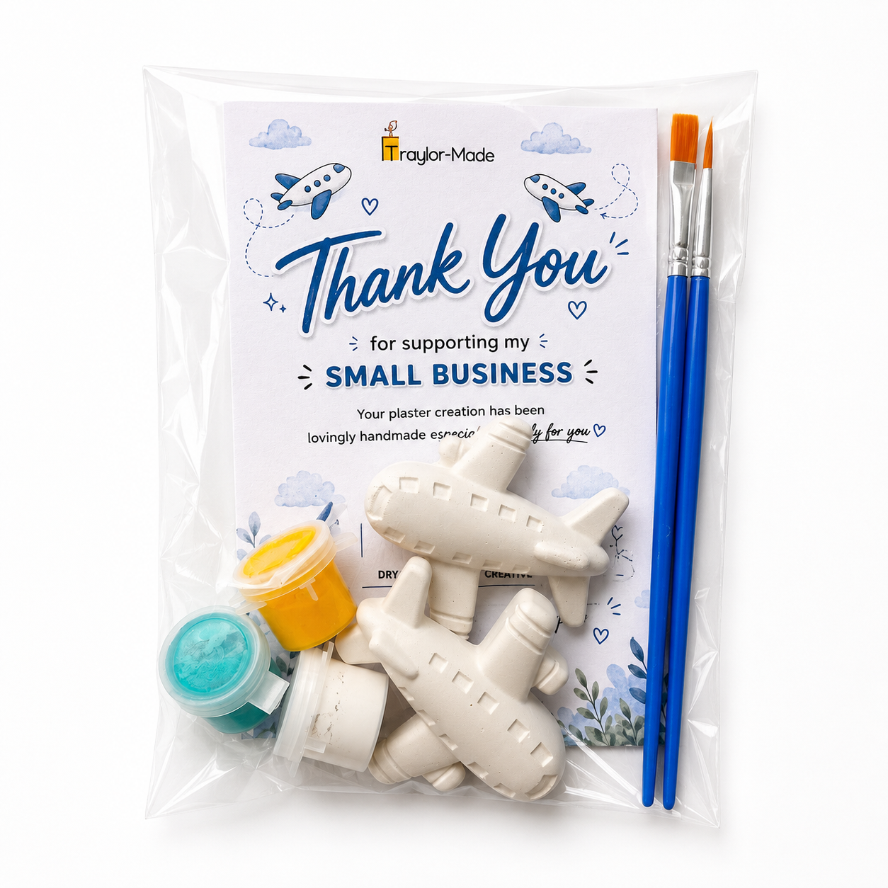 Airplane Painting Kit